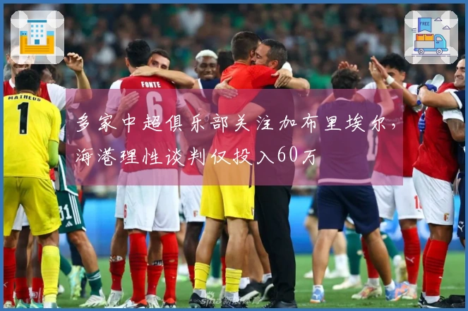 多家中超俱乐部关注加布里埃尔，海港理性谈判仅投入60万