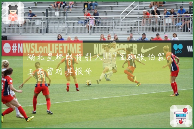湖北星辉即将引入U17国脚张伯霖，玉昆曾对其报价