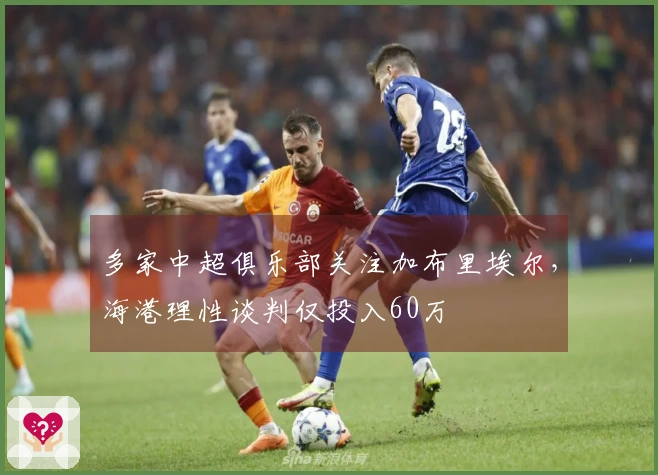 多家中超俱乐部关注加布里埃尔，海港理性谈判仅投入60万